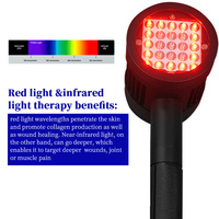 Appareil de thérapie laser à lumière rouge portable pour soulager la douleur de l'arthrite chez l'homme et chez l'animal, source d'alimentation électrique pour traitement en voiture