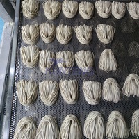 Commerciële Droger Van Pasta Industriële Voedseldroger Statische Pasta Droger Droogmachine