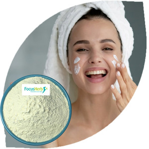 FocusHerb, Extracto de Genista en Polvo de Grado Alimenticio, 98% de Genisteína, Almacén en EE. UU. - Product Image 2