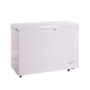 200L 200 LÍT thương mại cửa đơn thẳng đứng <span class=keywords><strong>container</strong></span> sâu mát nhà Tủ đông ngực - Product Image 5