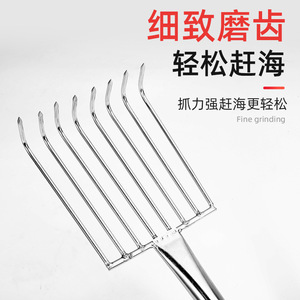 Green Heng Stainless Steel Beach Rake 30cm Length For Shell Digging And Clam Harvesting - Product Image 2