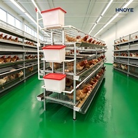 Cage à poules de type H à 4 niveaux pour 160 poules, système de retrait automatique du fumier