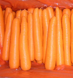 Bandes de carottes en vrac fraîches de Chine Produit de haute qualité - Product Image 2