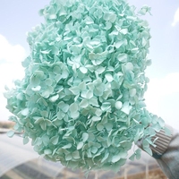 Fleur d'hortensia préservée véritable Arrangement de fleurs séchées conservées naturelles Mini Bouquet cadeaux de mariage en vrac uniques pour les invités