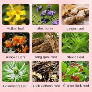 Mélange Herbal Naturel : Molène, Vitex, Gingembre, Ashoka, Dong Quai, Stévia, Goldenseal, Crampique, Écorce de Crampique pour le Bien-être Doux des Femmes - Product Image 3