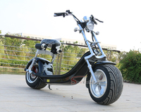 Hollande Entrepôt CEE approuvé Style Chaud route juridique électrique coco ville scooters / citycoco