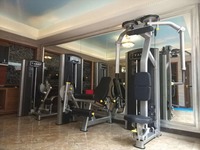 Équipement de musculation professionnel personnalisé avec logo pour salle de sport, machine de fitness pour exercices pectoraux, pectoraux arrière et deltoïdes arrière