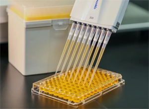 Produsen ujung <span class=keywords><strong>pipette</strong></span> Tiongkok 10ul 200ul 1000ul 96 ujung rak <span class=keywords><strong>Pipette</strong></span> universal untuk pipet multisaluran - Product Image 5