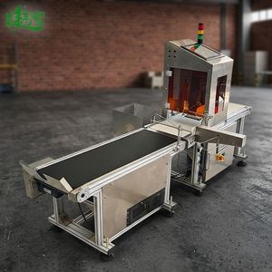 Sistema de Inspección por Visión OCR/OCV con IA y Rechazo Automático, Verificación de Códigos de Fecha/Lote/Batch en Tiempo Real - Product Image 4