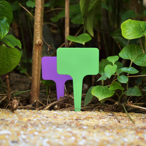 Etiqueta para Plantas en Forma de T, Engrosada, para Suculentas, para Jardín o Vivero - Product Image 1
