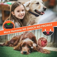 Kleines bis mittelgroßes Hunde-Bellkontroll-Trainingshalsband, IP67 wasserdicht, wiederaufladbar, Vibration, Piepton, stoßfrei, 20 Stunden Akkulaufzeit, Kunststoff