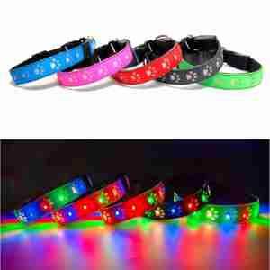 Collier lumineux pour animaux de compagnie rechargeable par USB, LED, couleur RVB, motif uni, rubans, haute visibilité, réglable, LED lumineux, sécurité nocturne - Product Image 1