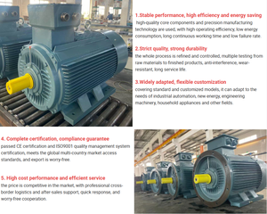 มอเตอร์ไฟฟ้าอะลูมิเนียมแบบอะซิงโครนัส YE2-250M-2 กำลัง 55 กิโลวัตต์ 75 แรงม้า 2 โพล 380 โวลต์ 3 เฟส AC 50 เฮิรตซ์ มาตรฐาน CE ประสิทธิภาพ IE2 แบบกำหนดเองได้ - Product Image 3
