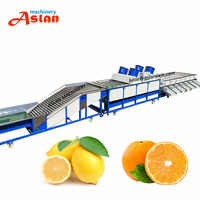 Fruitverwerkingslijn Sinaasappel Reinigingsharsen Sorteermachine Citroen Passievrucht Sorteermachine