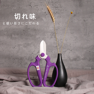 Bán buôn chuyên nghiệp cắt tỉa Shears vườn Shears Hoa nghệ sĩ của vườn tay công cụ hoa kéo - Product Image 5