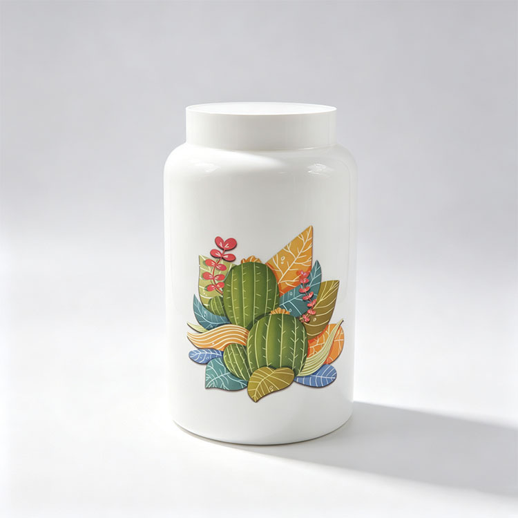 Stile cactus2