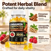 Gummies personnalisées 2000mg Cannelle de Ceylan et Berbérine Saveur Framboise pour le soutien des os, des articulations et du système cardiovasculaire – Vente en gros