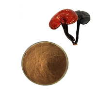 Poudre de champignon Reishi Ganoderma Lucidum de qualité alimentaire en vrac, ingrédient de complément alimentaire