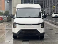 Offre Spéciale Véhicule d'occasion Wuling Lingshi Gold Warehouse 2024 Cargo EV Autonomie NEDC 201-300km Batterie LFP Moteur 50-100KW Faible Coût