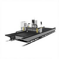 Machine de découpe laser automatique grand format de type portique 6025/12025/12030 6000W 12kW 20kW avec table de travail robuste