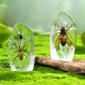 Nieuwste Ontworpen Gletsjerhars Moderne Ambor Presse-Papier Echt Insect Ingekapseld In Door De Mens Gemaakte Amber Eeuwige Kunstwerkgeschenk - Product Image 2