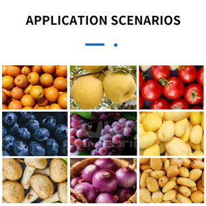 آلة فرز الفواكه والخضروات متعددة الوظائف مصنوعة بالكامل من الفولاذ المقاوم للصدأ 304 لفرز التوت والتمر حسب الحجم - Product Image 2