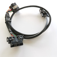 Faisceau de câbles électrique personnalisé OBD 16 broches mâle-femelle 18AWG 2464, faisceau de câblage classique pour systèmes de diagnostic automobile