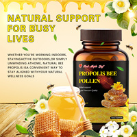Gélules de Propolis et de Pollen d'Abeille 46 mg de Flavonoïdes au Total par Portion Complément Alimentaire Derivé de l'Abeille 60 Gélules
