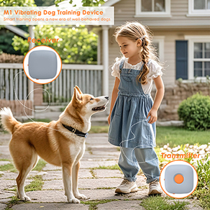 Dog Training Collar Remote Control  Waterproof Rechargeable ABS+PC Material Bark Control Vibration & Electric Shock Training - Product Image 3