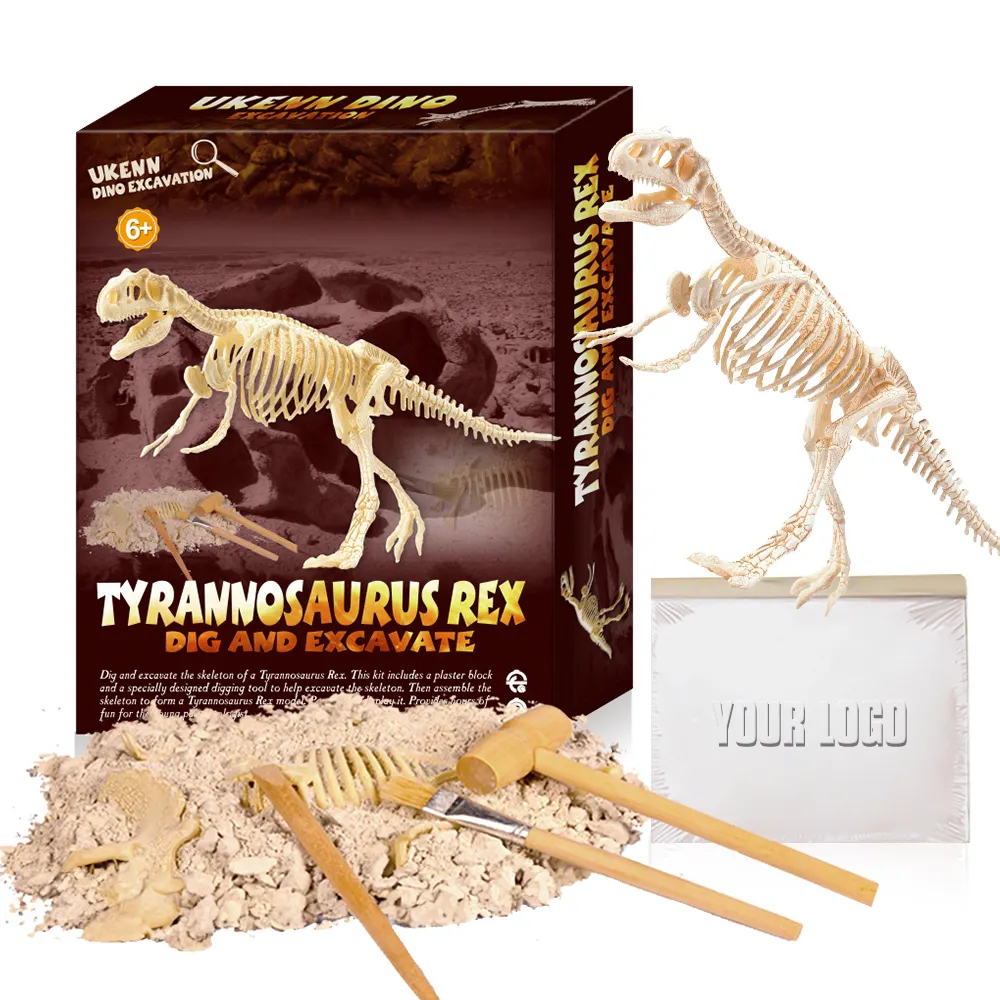 Juguetes educativos realistas no tóxicos con seguridad Dino Kit de excavación dinosaurio fósil excavación dinosaurios esqueleto conjunto para niños
