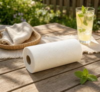 2-lagiges, weiches, saugfähiges, waschbares Küchenpapier aus reinem Zellstoff, umweltfreundlich, für die Reinigung, kernlose Rolle