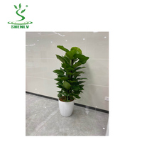 High-End Tanaman Plastik Luar Ruangan Besar Nordic Penanam Ramah Lingkungan Pot Buatan Pot Taman Besar Cetakan