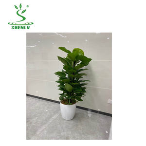 Grande jardinière nordique en plastique haut de gamme, grand pot artificiel écologique, moule de grands Pots de jardin - Product Image 2