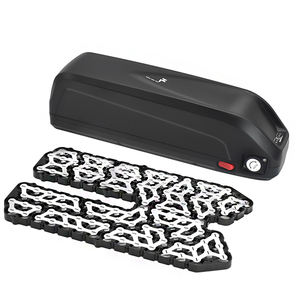 ชุดประกอบจักรยานไฟฟ้า Hailong 48V 36V สำหรับยานยนต์ไฟฟ้า โดยผู้ผลิต ไม่รวมแบตเตอรี่ รับผลิตแบบ OEM/ODM ผลิตในจีน - Product Image 2