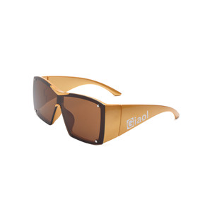 Occhiali da Sole Fizz - Modello Oversize con Montatura Spessa Avvolgente per Donna - Product Image 4