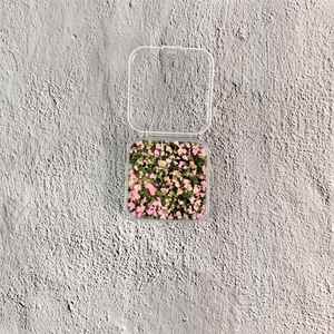 Custom Handmade Flower Grass Decor Set - Journal <b>Scrapbooking</b> & Diorama Craft Supplies - Product Image 1