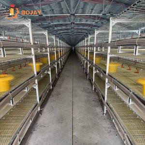 En iyi otomatik içme tavuk yumurta tavuk kafesleri için 3/4 katlı 96/120/128/160 kuşlar kümes hayvancılığı tavuk tavuk yumurta koleksiyonu - Product Image 6