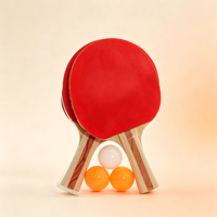 Raquettes de ping-pong en bois sept plis, personnalisation usine, haute qualité, OEM ODM, raquettes de tennis de table