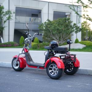Scooter électrique Citycoco à 3 roues, 2026, longue portée, batterie lithium étanche, freins à disque hydrauliques, capacité de 200 kg, pneus larges - Product Image 5