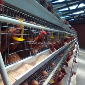 <span class=keywords><strong>Cage</strong></span> à poulets, Poulailler, <span class=keywords><strong>Cage</strong></span> pour poules pondeuses, <span class=keywords><strong>Cage</strong></span> pour poulets de chair, <span class=keywords><strong>Cage</strong></span> avicole, Abri pour poulets, Enclos pour poulets, <span class=keywords><strong>Cage</strong></span> à poulets commerciale - Product Image 2