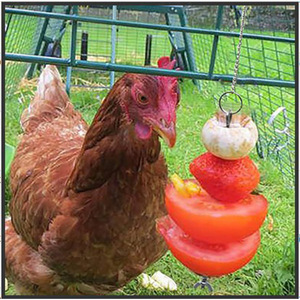 Comedero Colgante Estilo C con Cadena de Acero Inoxidable para Verduras, Frutas y Pollos - Product Image 2