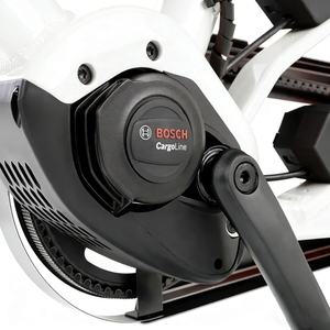 Bicicletta Elettrica da Carico Urbana all'Ingrosso con Telaio in Lega, Freno a Rotore da 180 mm, Doppio Vano Batteria e Coda Lunga - Product Image 4