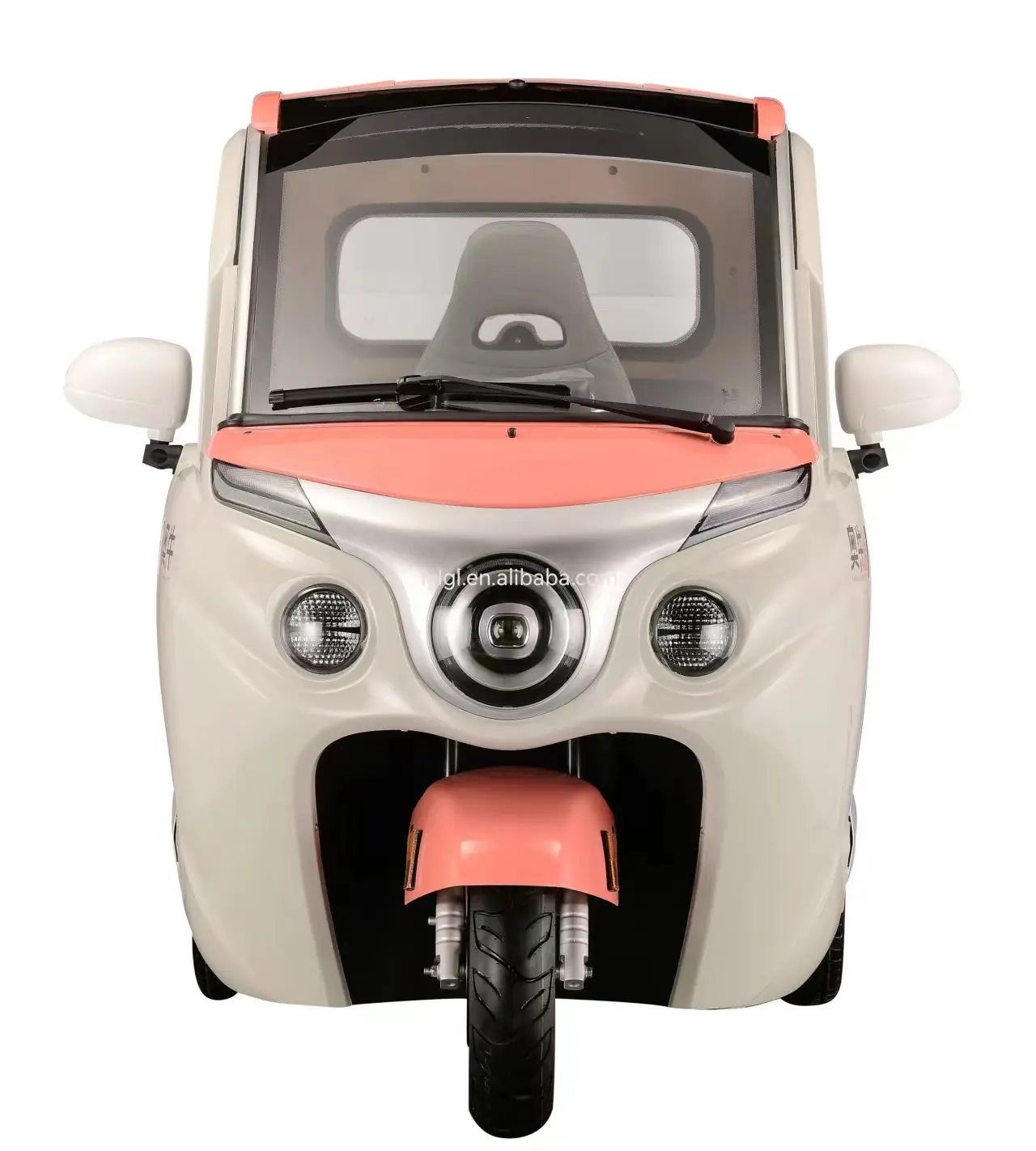 LYLGL L6 EEC sertifikalı kapalı kabin Scooter 3 tekerlekli 1500W özelleştirilmiş renk yetişkin elektrikli üç tekerlekli bisiklet
