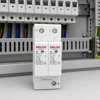 Parafoudre série DZ47sY-II 20kA 40kA 65kA 80kA 120kA 2P 385V, Dispositif de protection contre les surtensions basse tension SPD