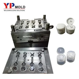 Injection Molding Manufacturer Oem Customize Plastic Butterfly Clamshell Flip Top Cap Plastic Injection Mould Mold