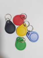 125KHz LF EM4305 T5577/13,56 MHz HF F08 Chip RFID-Tag Umschreib bares ABS Smart NFC-Schlüssel anhänger