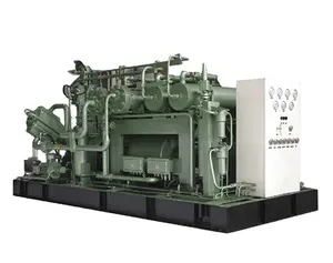 200bar 250bar Hydrogen Chloride Gas Compressor Biogas Methan Natural Gas Compressor to Fill Cylinder For Sale