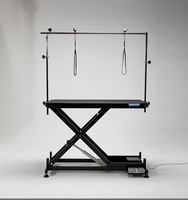 Table de toilettage électrique pour animaux de compagnie en acier inoxydable, plateau antidérapant étendu, hauteur ultra-basse, sûre et facile à utiliser YM-D001 Extended