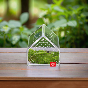 2025 tinh thể rõ ràng Acrylic bò sát bao vây-360 ° toàn cảnh Cube môi trường sống W/ Escape-proof từ trượt nắp - Product Image 6