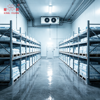 Produsen Cold Room Profesional yang Menyediakan Solusi Refrigerasi Lengkap di Seluruh Dunia